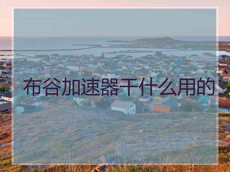 布谷加速器干什么用的