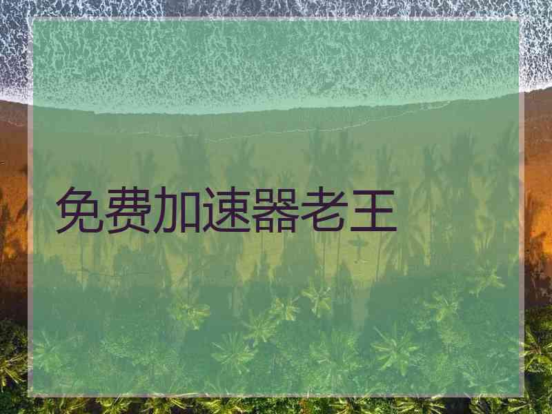 免费加速器老王