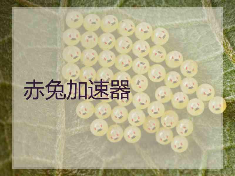 赤兔加速器