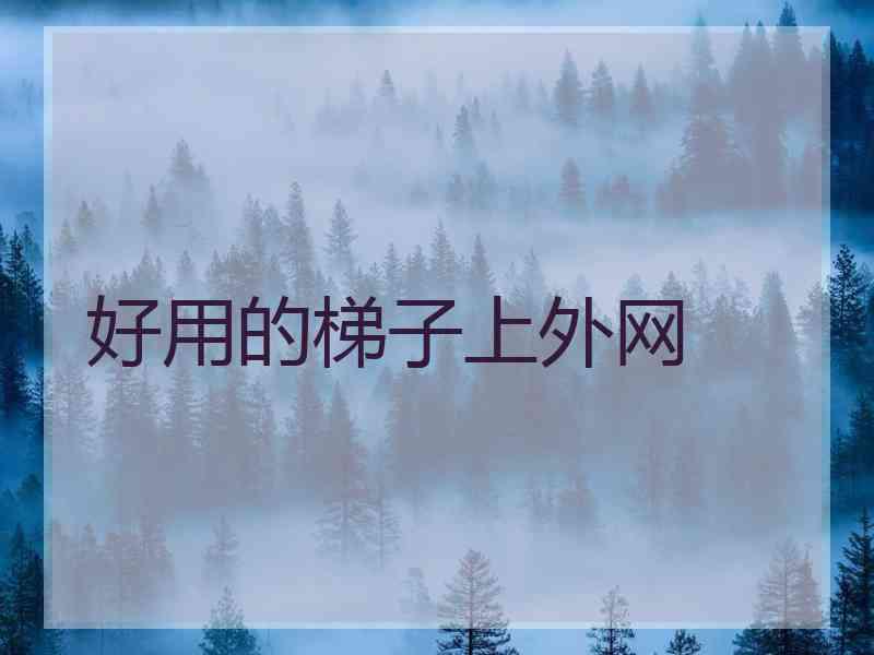 好用的梯子上外网