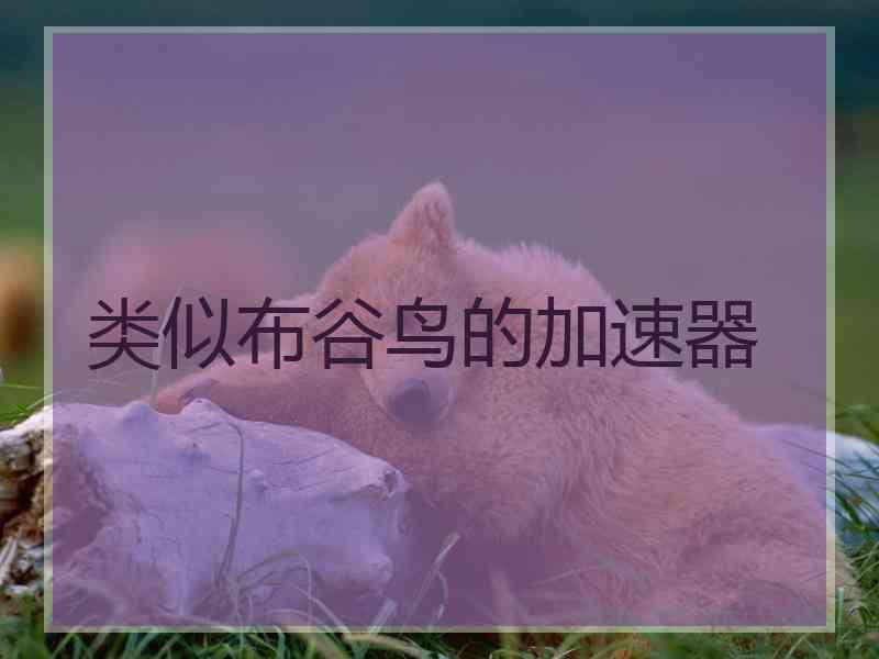 类似布谷鸟的加速器
