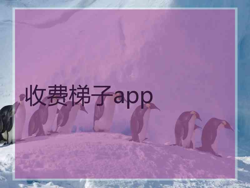 收费梯子app