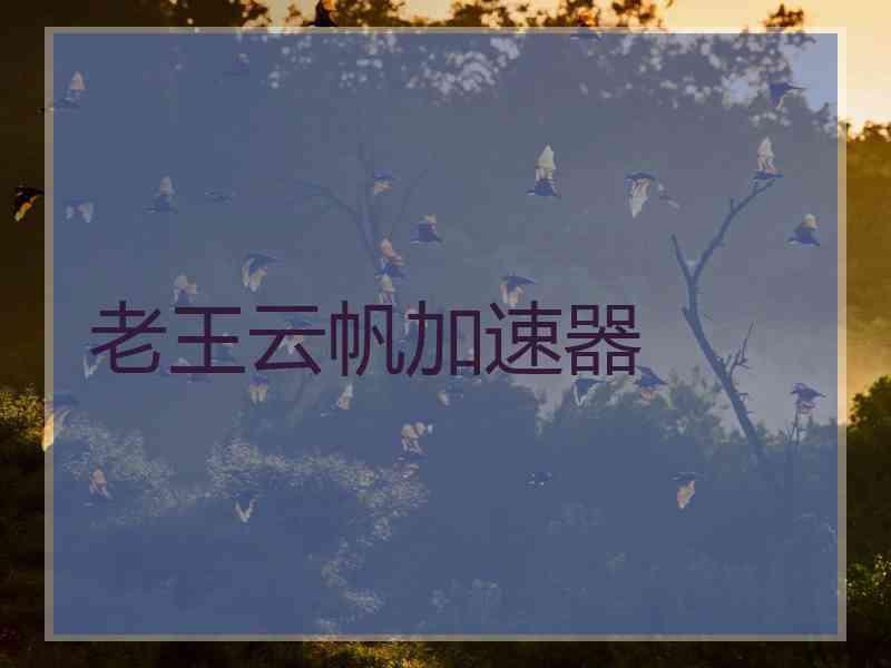 老王云帆加速器