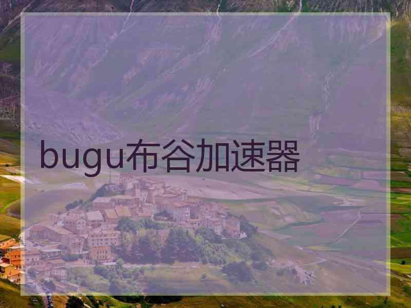 bugu布谷加速器