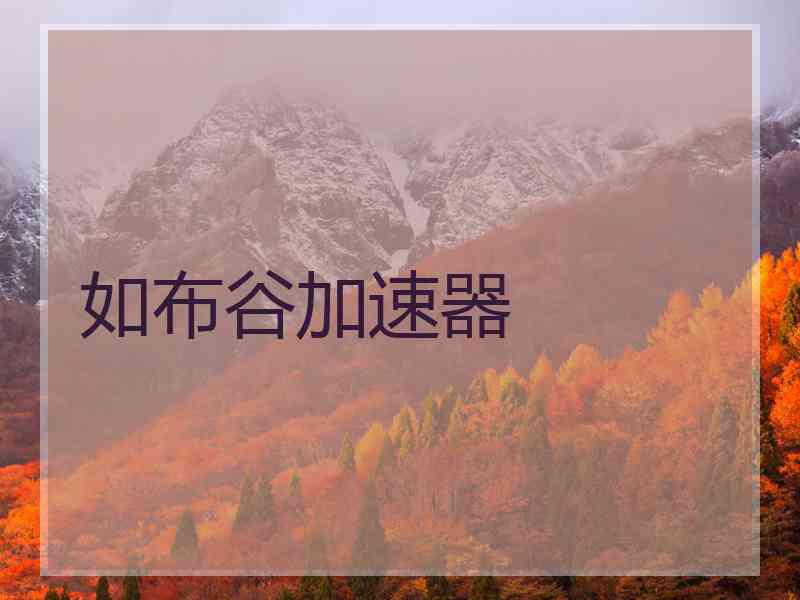 如布谷加速器