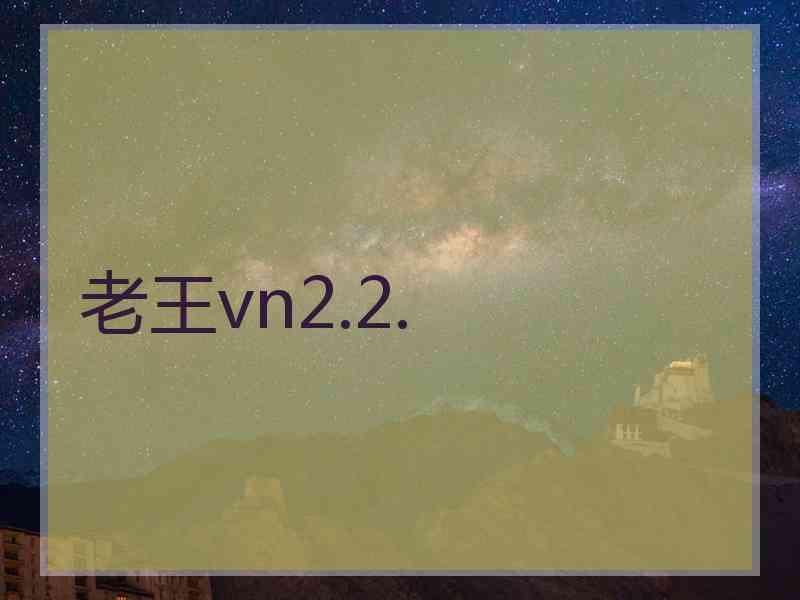 老王vn2.2.