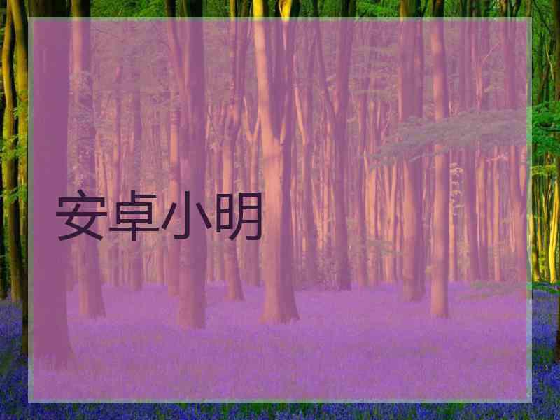 安卓小明