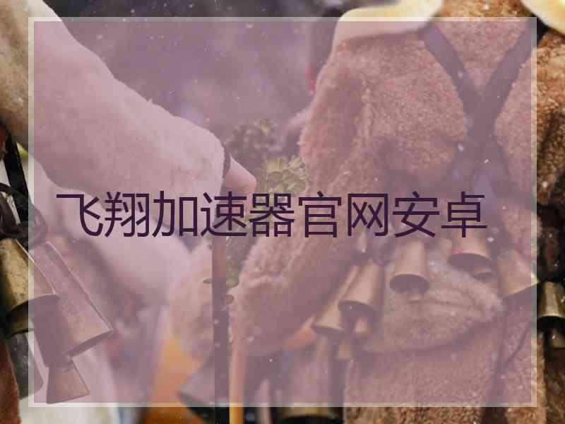 飞翔加速器官网安卓