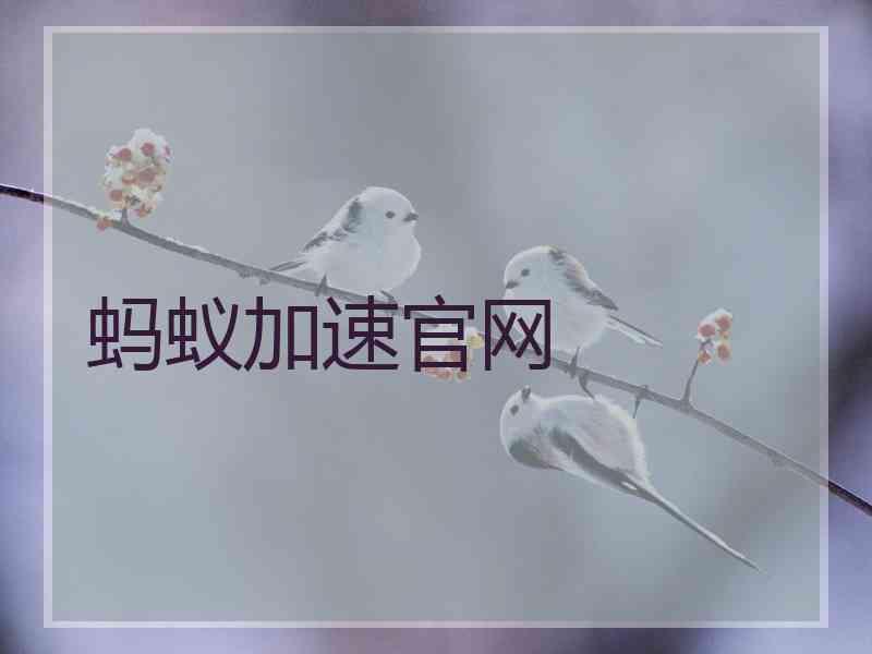 蚂蚁加速官网
