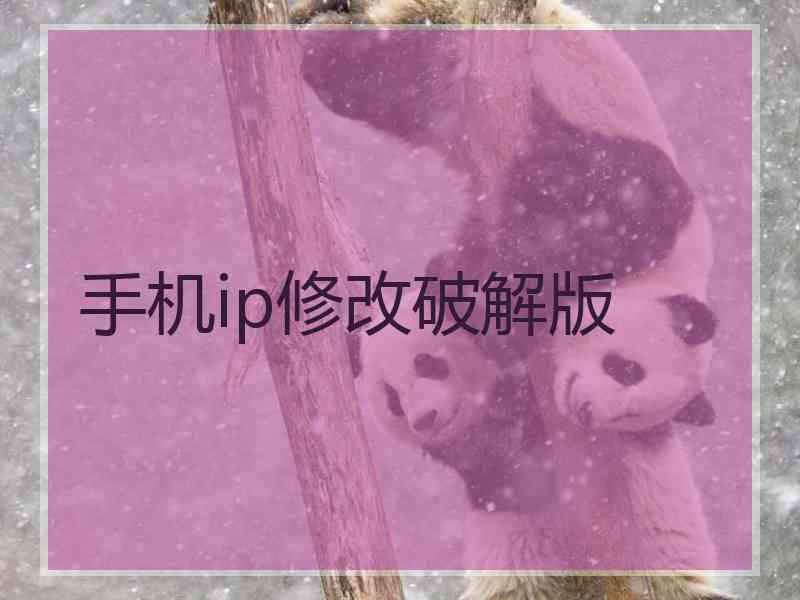 手机ip修改破解版