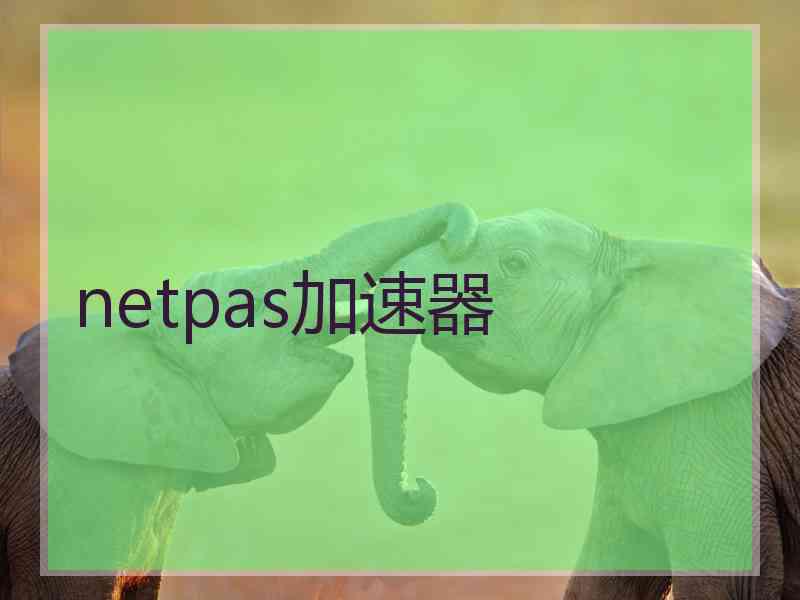 netpas加速器