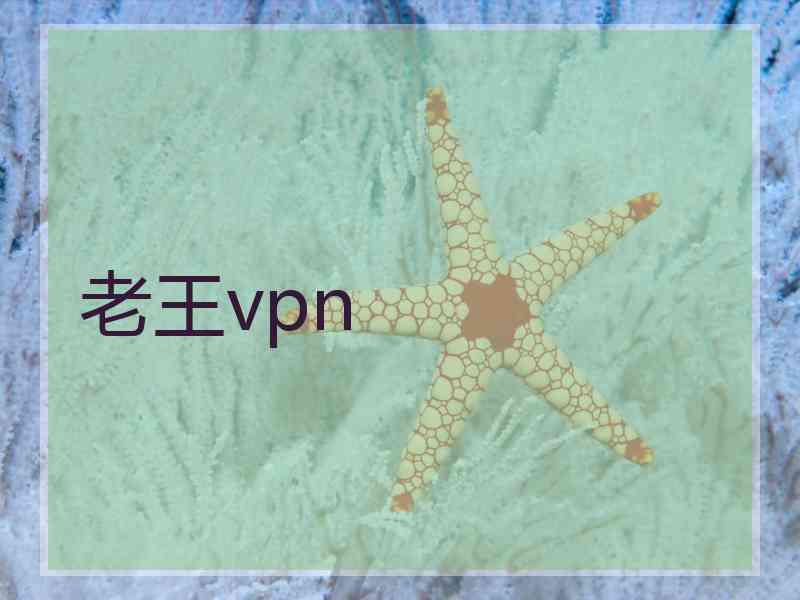 老王vpn