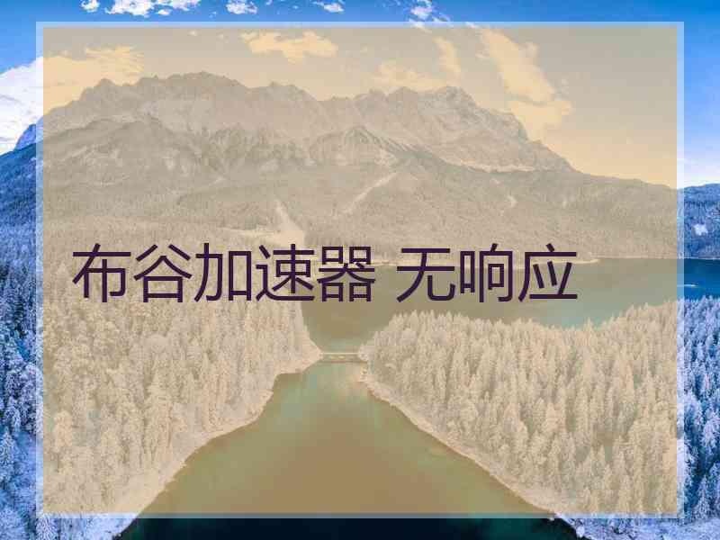 布谷加速器 无响应