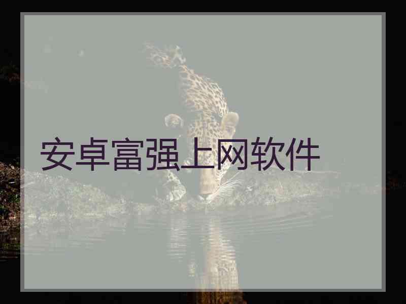 安卓富强上网软件