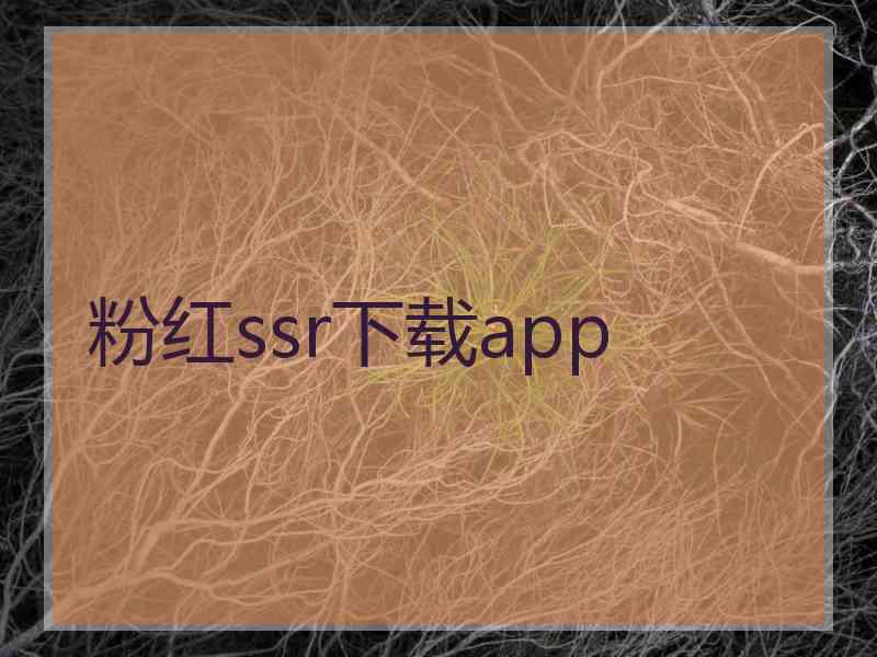 粉红ssr下载app