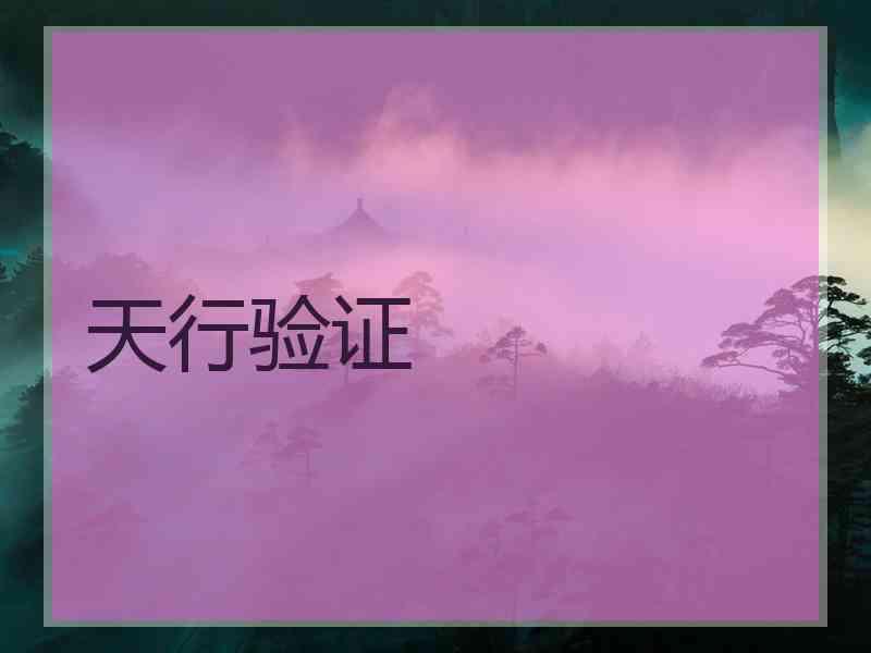 天行验证