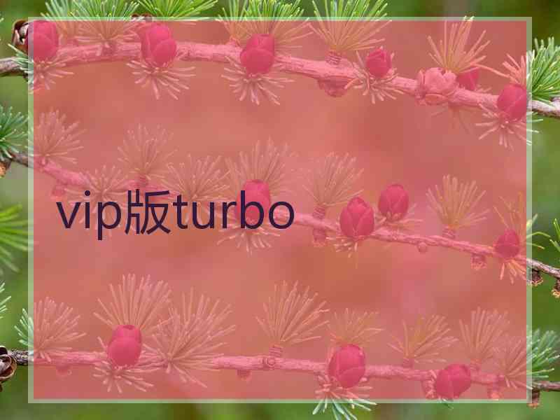 vip版turbo