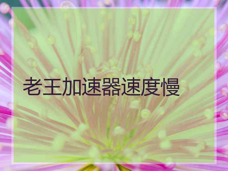 老王加速器速度慢