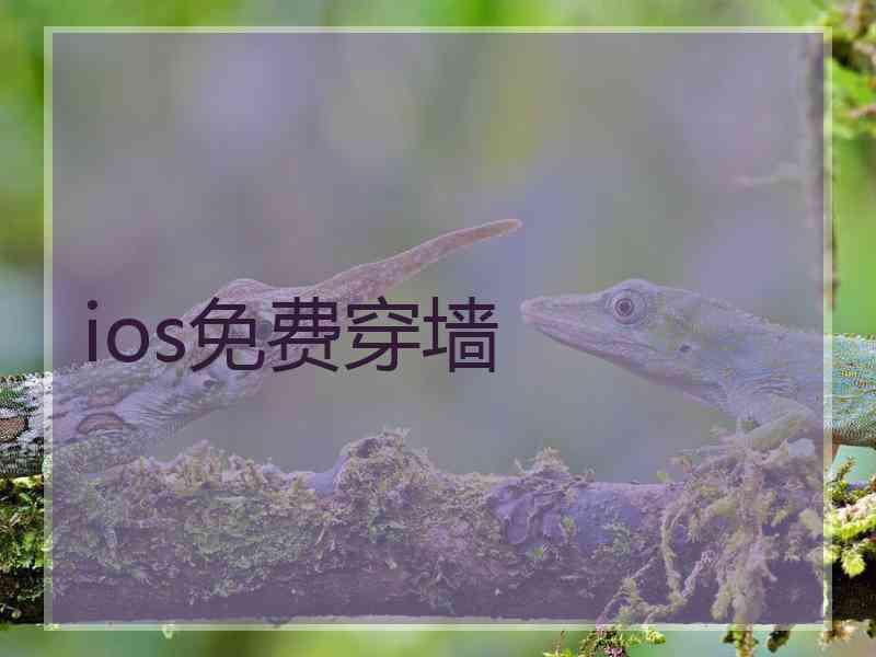 ios免费穿墙