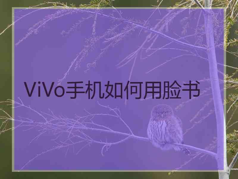 ViVo手机如何用脸书