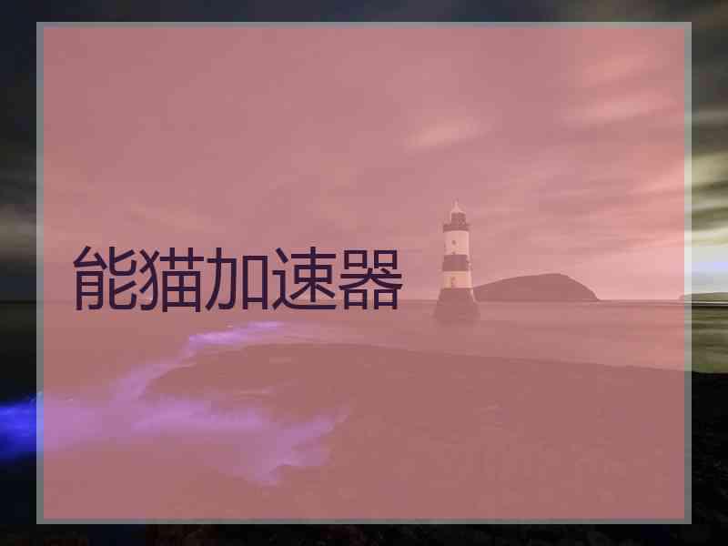能猫加速器