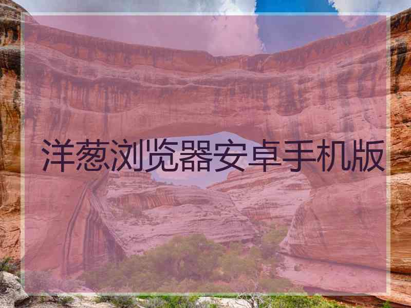 洋葱浏览器安卓手机版
