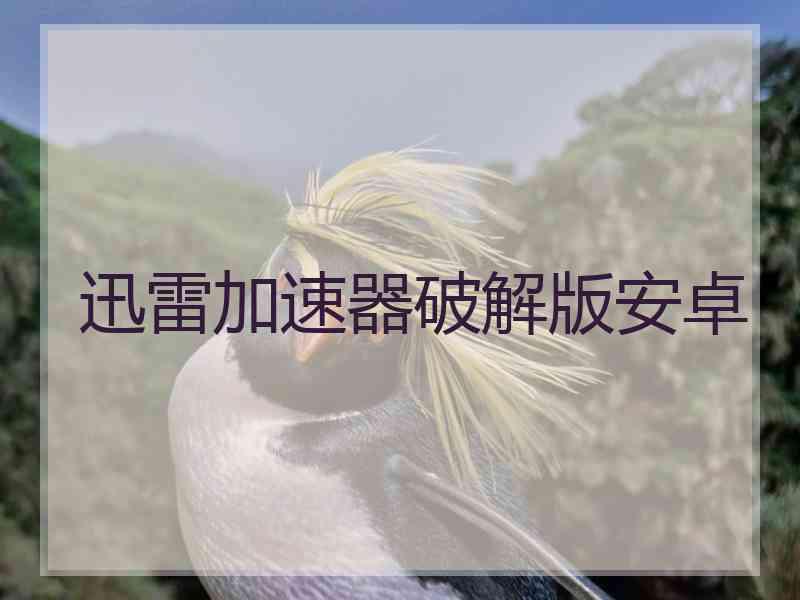 迅雷加速器破解版安卓