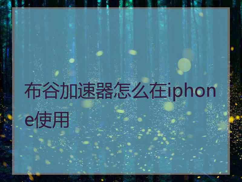 布谷加速器怎么在iphone使用
