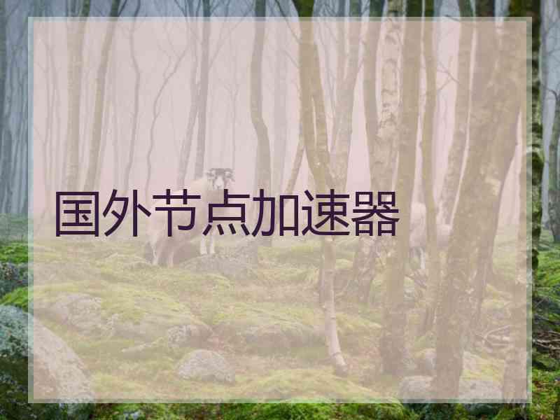 国外节点加速器