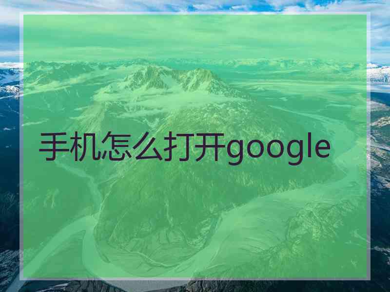 手机怎么打开google
