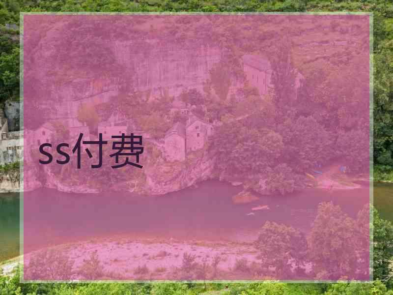 ss付费