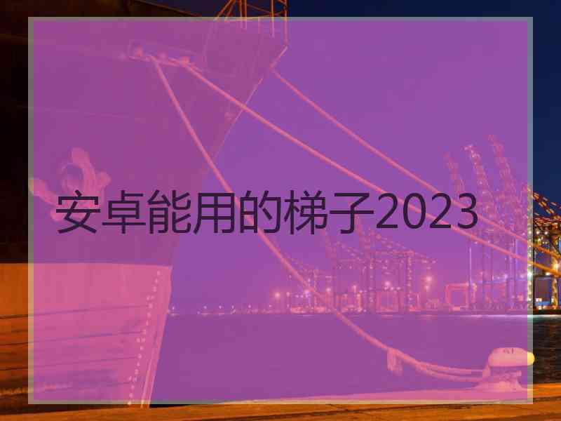 安卓能用的梯子2023