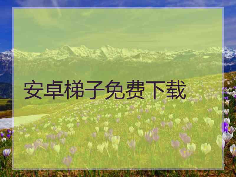安卓梯子免费下载
