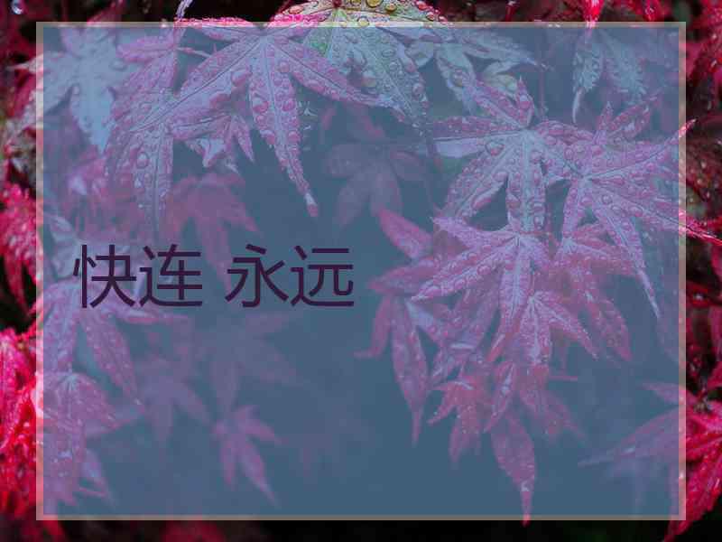 快连 永远