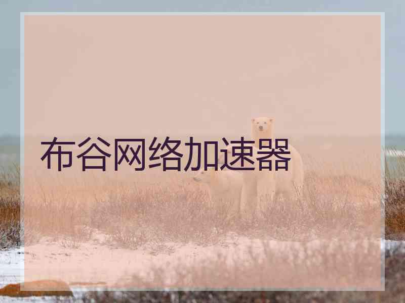 布谷网络加速器