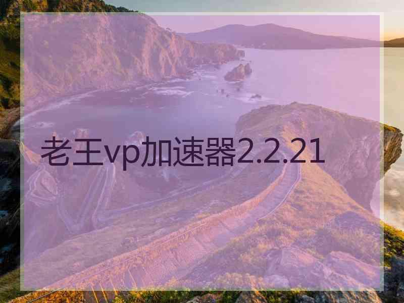老王vp加速器2.2.21