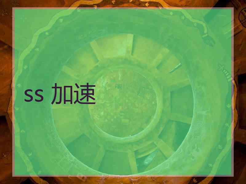 ss 加速