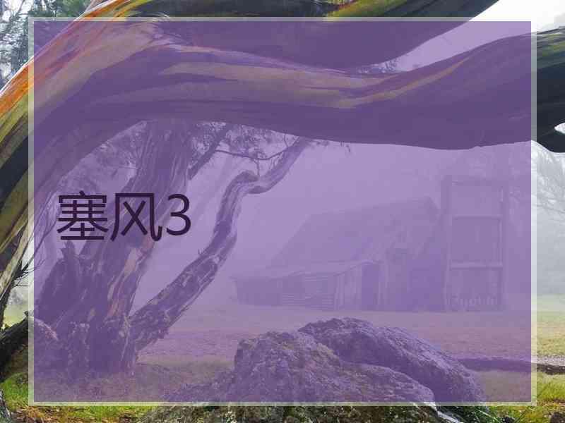 塞风3