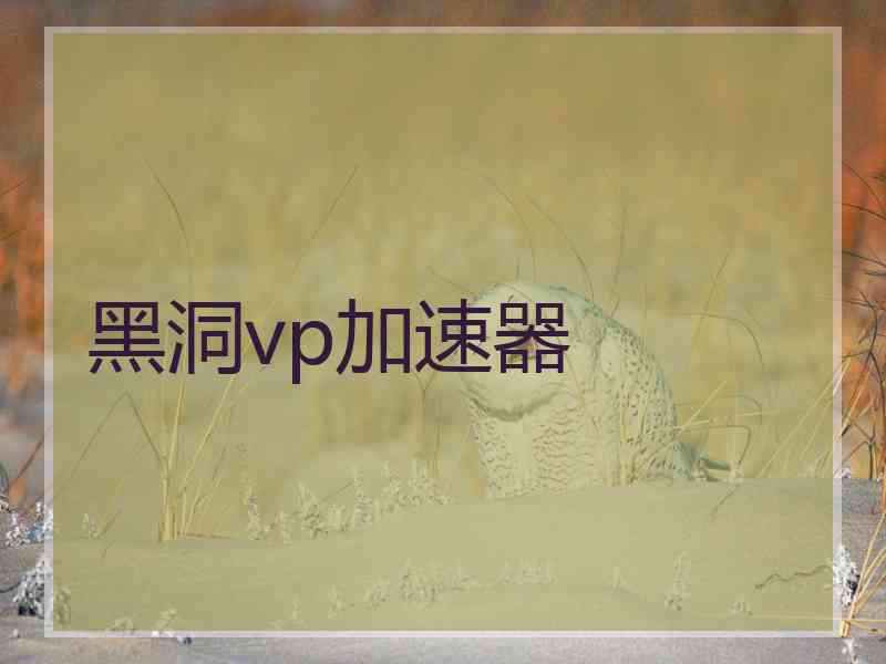 黑洞vp加速器