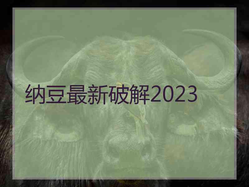 纳豆最新破解2023