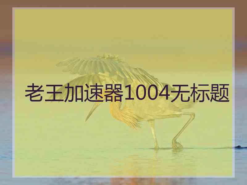 老王加速器1004无标题