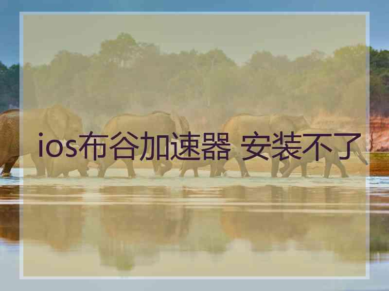 ios布谷加速器 安装不了