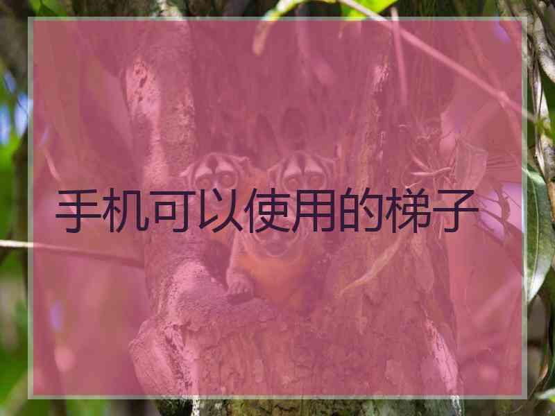 手机可以使用的梯子
