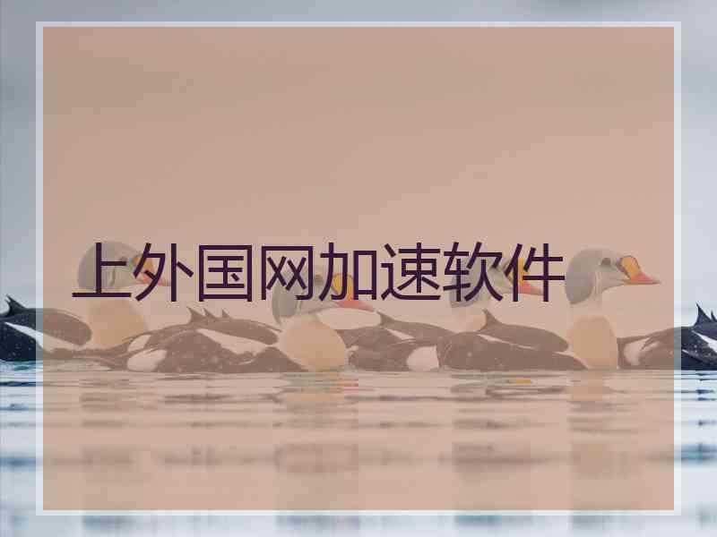 上外国网加速软件