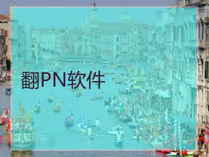 翻PN软件