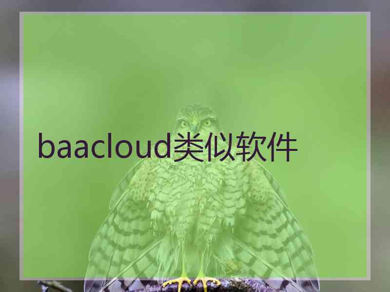 baacloud类似软件