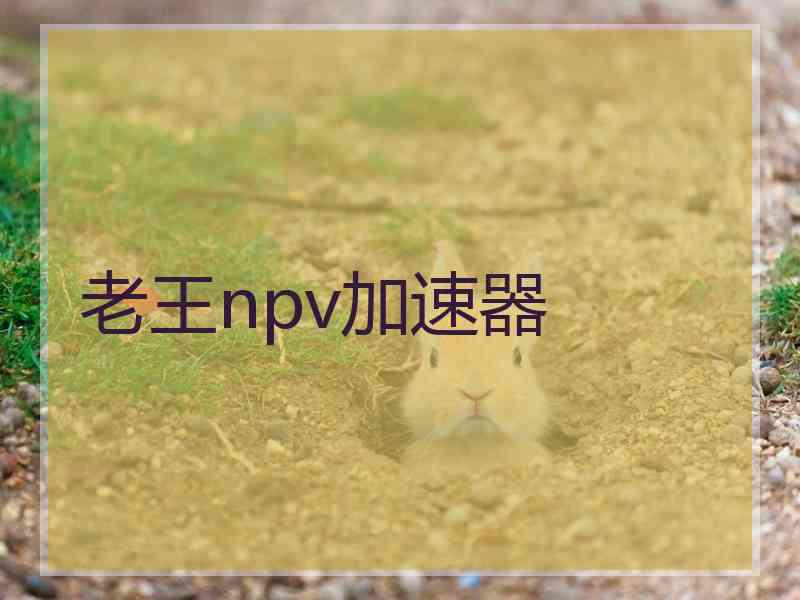老王npv加速器