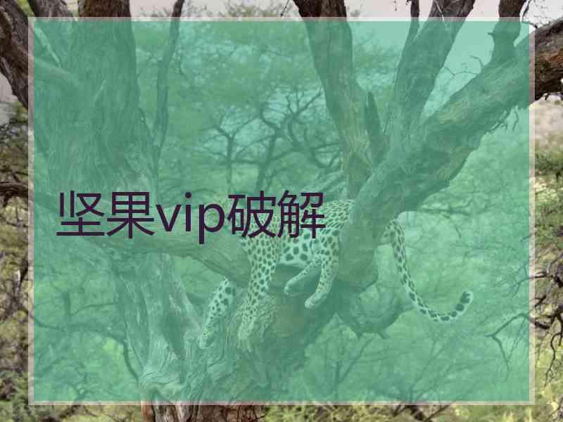 坚果vip破解