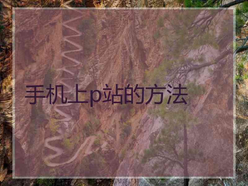 手机上p站的方法