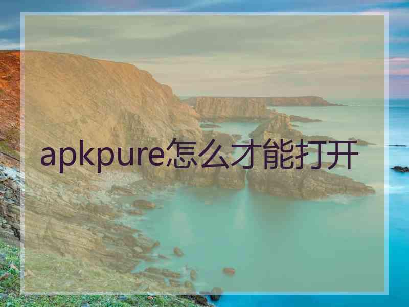 apkpure怎么才能打开